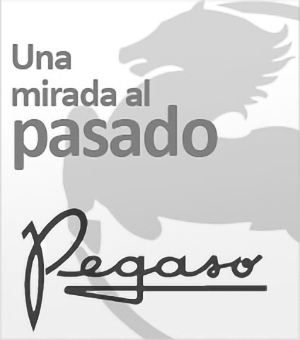 Historia de Pegaso